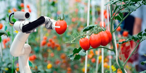 Robotic arm picking plants