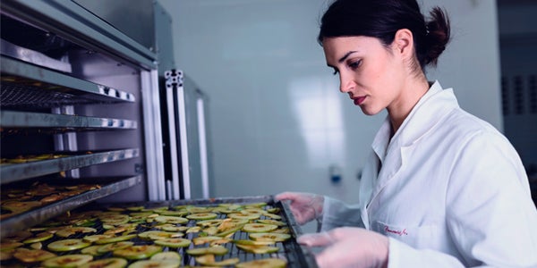 Woman inspecting thin slices of fruit, which are stacked within a commercial kitchen