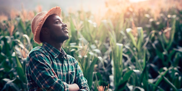Cornfield setting. A man wearing a hat a plaid shirt looking at the sky.